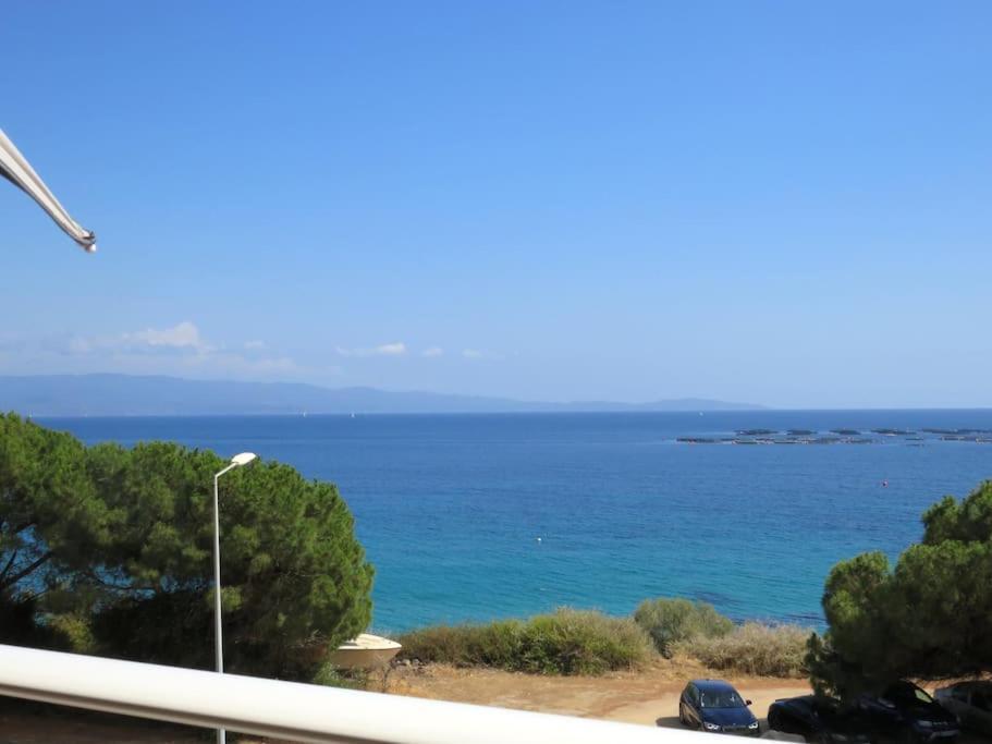 Bel App T2 En Bord De Mer Vue Sanquinaires Piscine アジャクシオ エクステリア 写真