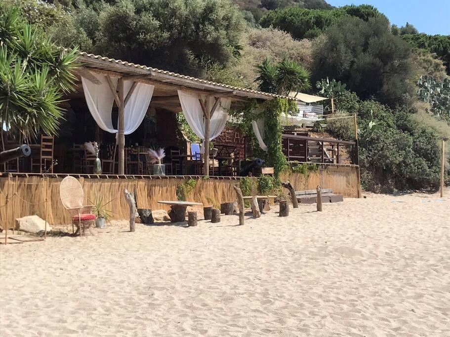 Bel App T2 En Bord De Mer Vue Sanquinaires Piscine アジャクシオ エクステリア 写真